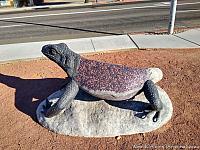 Kingman's Giant Chuckwalla