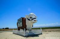 Several of these Giant Cows reside on roads throughout the United States.