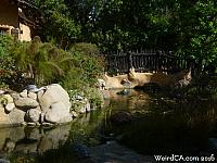 Moat and Bridge, along with alligator