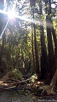 Limekiln State Park