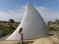 Giant Shark Fin