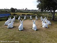 Bunnyhenge in Newport Beach