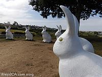 Part of Bunnyhenge