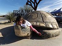 Tiffany saying hi to Murtle