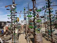 Elmer's Bottle Tree Ranch