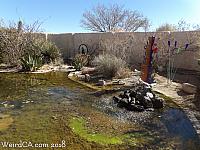 The Desert Discovery Center