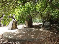 Lucy the Deer Monument