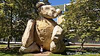 Giant Rock Teddy Bear