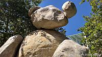 Giant Rock Teddy Bear