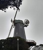 The Murphy Windmill in Golden Gate Park