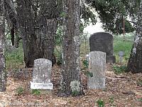 Tombstones at Adelaida Cemetery