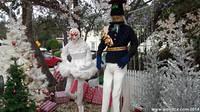 Christmas Scarecrows in Cambria