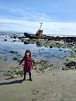 Cayucos Shipwreck