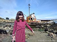 Cayucos Shipwreck