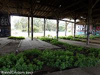 Bayshore Roundhouse