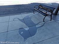 Redwood City Shadow Art