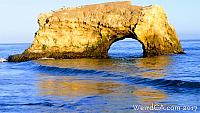 Natural Bridges State Beach had something wash ashore back in 1925!