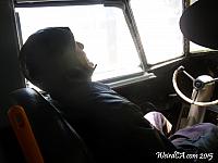 The pilot
