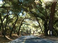 Ojai has a ghostly bride, covered in blood, attempting to hitch hike down Creek Road.