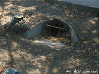 Entrance to the Toad Tunnel