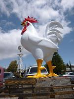 Giant Rooster in Arroyo Grande