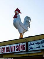 Midway City - Baladi Poultry