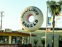 Bellflower Bagels