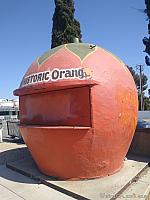 Bono's Historic Orange