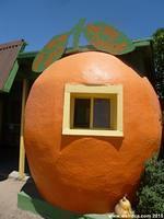 Lemon Cove - The Giant Orange