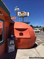 Shasta Lake Giant Orange