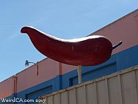 Giant Chili Pepper