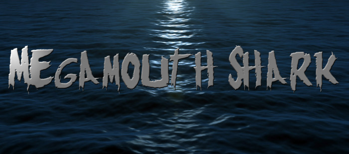 Megamouth Shark