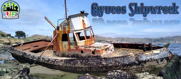 Cayucos Shipwreck