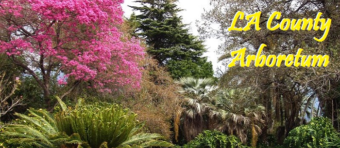 LA County Arboretum