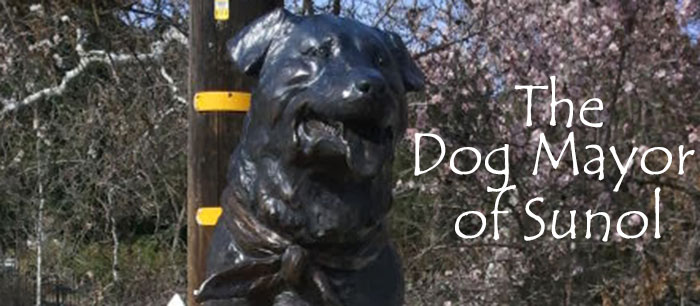 The Dog Mayor of Sunol